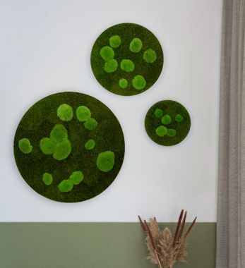Runde Moosbilder aus Waldmoos & Kugelmoss für die Wand