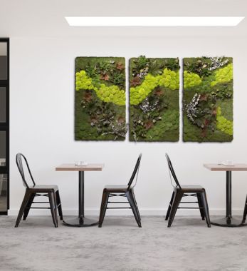 Moosbild Triptychon 60x100cm