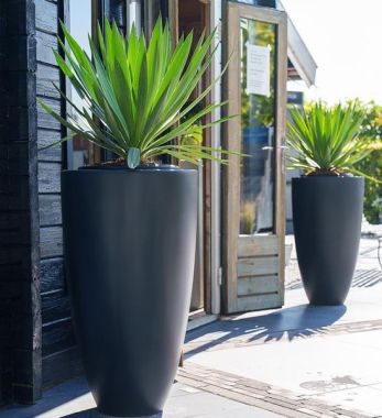 Pflanzvase-Fiberglas CANNA Anthrazit