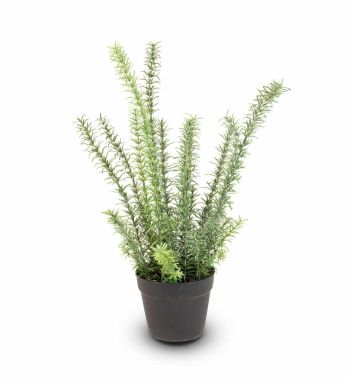 Rosmarin Kunstpflanze UV-Stabil 60 cm Hoch
