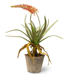 Aloe Kunstpflanze 143 cm