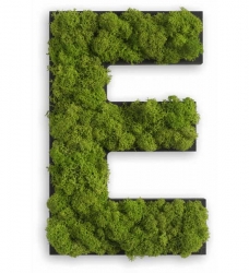 Moos Buchstaben für die Wand E