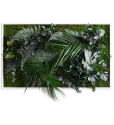 Pflanzenbild 100 x 60 cm Vollholz - weiß
