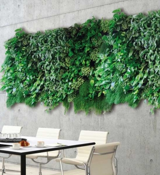 Grüne Wand mit Pflanzen 