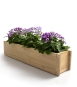 Balkonkasten Holz Robinie 80 cm