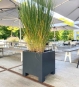 Design Alu Pflanzkuebel Mit Fuessen Kubisch Restaurant Terrasse