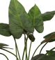 Detailaufnahme Blätter Anthurium Kunstpflanze