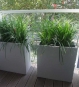 Blumenkuebel Hoch Grau Mit Gras