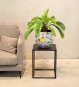 Blumentopf LEMON FUSION Tischgefäß mit kleiner Zimmerpalme