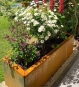 Cortenstahl-Hochbeet 120 x 40 x 40 cm im Garten mit Blumen bepflanzt