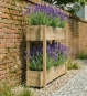 Etagen Hochbeet Balkon mit Lavendel bepflanzt – Robinienholz