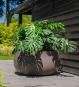 Große Pflanzschale LORA aus Fiberglas rund mit Monstera