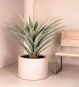 Künstliche Agave 120 cm im modernen Wohnraum, mit natürlicher Blattstruktur