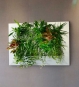 LivePicture Pflanzenbild 110 x 70 cm