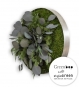 Pflanzenbild LEAFS Design by Greenbop & styleGREEN