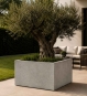 Pflanzkübel aus Beton XXL 100x100 cm auf Terrasse bepflanzt mit Olivenbaum