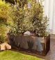 Pflanzkübel Cortenstahl 120 x 40 x 60 cm bepflanzt