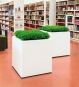 Pflanzkübel Kubus Premium Indoor