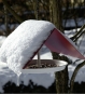 Vogelhaus Ikarus Birdy Rot - Futterstation zum Aufhängen
