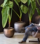 Alocasia Calidora Kunstpflanze 180 cm