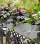 Blumenkasten Betonoptik für Balkonbepflanzung