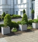 Blumenkuebel Kubisch Grau Einfahrt Bepflanzt