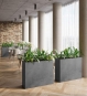 Blumenkübel Raumteiler mit Bepflanzung im Speisesaal