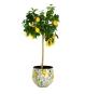 Blumentopf LEMON FUSION mit mediterranem Zitronen-Muster bepflanzt