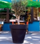Blumentopf Schwarz Groß für Bäume