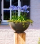 Mit Blumen bepflanzte Metall Cortenstahl Schale