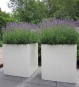 Pflanzkübel CARREZ Fiberglas weiß Detail Struktur