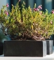 Flacher Kubischer Blumenkasten Mauer Balkon
