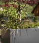 Gartensilber Kubus in vielen RAL Farben verfügbar