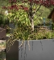 Gartensilber QUADER mit Struckturlack in vielen RAL Farben verfügbar