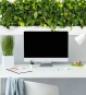 XXL Pflanzenbild für die Wandbegrünung im Büro und zu Hause