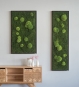Verschiedene Moosbilder als Wanddeko im Wohnzimmer