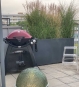Pflanzkuebel Raumteiler Fiberglas Anthrazit auf Terrasse als Sichtschutz mit Schilfgras