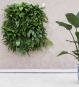 Detailaufnahme Pflanzkassetten LivePanel PACK