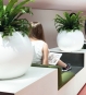 Pflanzgefaess Kugel Globe Premium Wasserdicht Innen