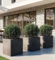 Pflanzkuebel Beton Anthrazit 50 X 50 X 50 Terrasse Mit Buxus