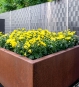 Pflanzkübel Cortenstahl 140 x 140 x 60 cm als Blumen Beet
