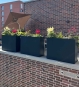 Pflanzkübel lang hoch als Sichtschutz auf Dachterrasse