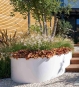 Ovaler Pflanzkübel Aluminium Ellipse bepflanzt im Garten