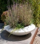 Pflanzschale groß flach weiß 120cm