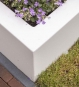 Blumenkübel weiß Fiberglas mit Lavendel