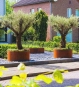 Rundes Hochbeet aus Cortenstahl im modernen Garten, bepflanzt mit Olivenbäumen