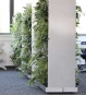 Raumteiler mit Pflanzen