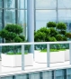 Pflanzkübel Shape Fiberglas für große gewerbliche Terrassen