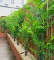 Bambus Kunstpflanze in 2 Größen kombiniert als Deko auf Terrasse mit Sichtschutzmatte