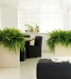 Blumenkübel Raumteiler Beige im Büro